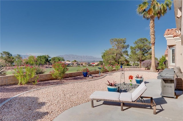 10504 Button Willow Dr, Las Vegas, NV 89134 - photo 1