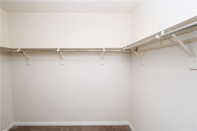 2787 Sunken Ship St, Laughlin, NV 89029 - walk in closet featuring carpet
