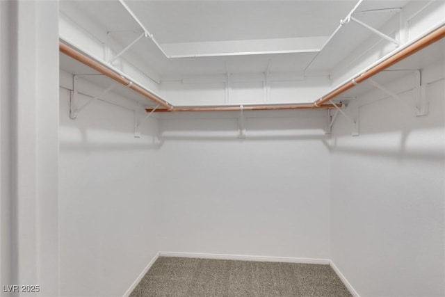 160 Coastal Pier Ct, Henderson, NV 89002 - spacious closet featuring carpet