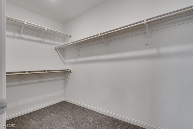 4448 Mahogany Hills Ave, Las Vegas, NV 89141 - walk in closet with carpet flooring