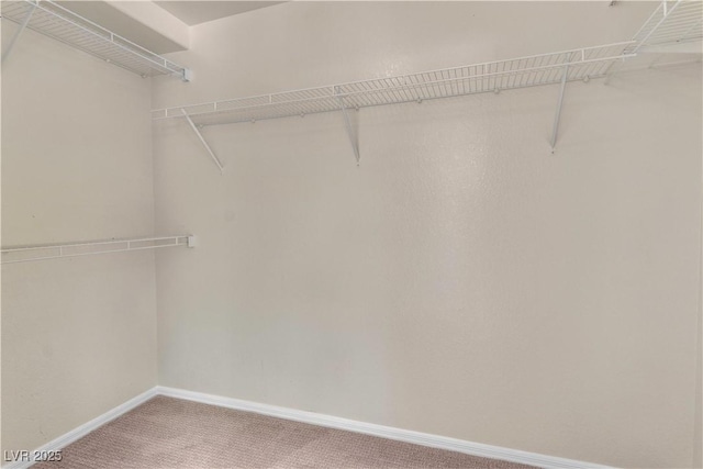 1717 Double Arch Ct, Las Vegas, NV 89128 - spacious closet with carpet floors