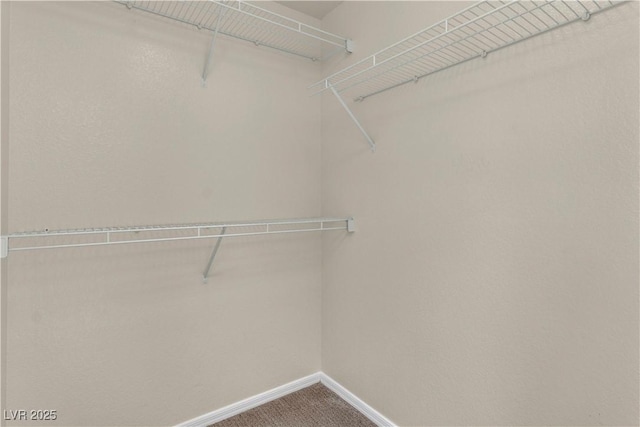 1717 Double Arch Ct, Las Vegas, NV 89128 - spacious closet with carpet