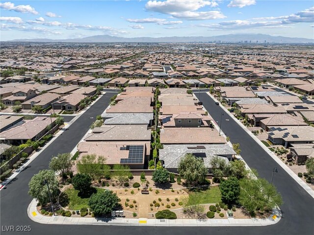 417 Honeybrush Ave, Henderson, NV 89011 - photo 3