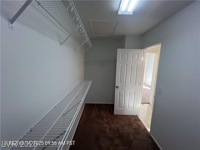 7464 Edgecove Ct, Las Vegas, NV 89139 - spacious closet with carpet floors