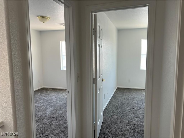 9120 Landons Point Ct, Las Vegas, NV 89148 - photo 16