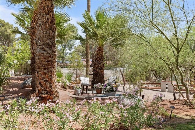 2222 Lucerne Ct, Henderson, NV 89014 - view of yard