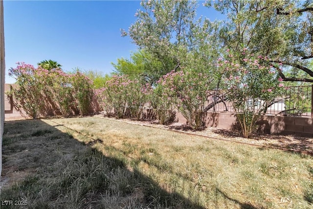 4016 Owlshead Mountain St, Las Vegas, NV 89129 - view of yard