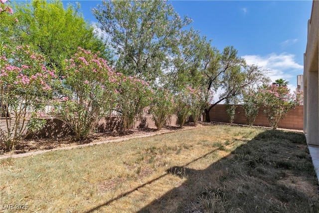 4016 Owlshead Mountain St, Las Vegas, NV 89129 - view of yard
