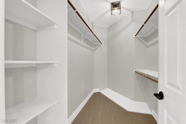 9116 Vista Greens Way Unit 104, Las Vegas, NV 89134 - walk in closet with carpet floors