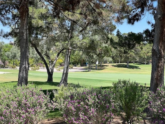 9116 Vista Greens Way Unit 104, Las Vegas, NV 89134 - surrounding community featuring a lawn and view of scattered trees