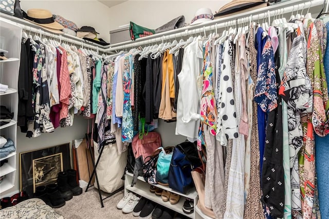 8600 W Charleston Blvd Unit 2187, Las Vegas, NV 89117 - spacious closet featuring carpet floors