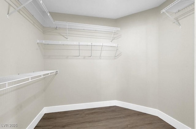 1225 Stonesthrow Cir, North Las Vegas, NV 89031 - spacious closet featuring dark wood-type flooring