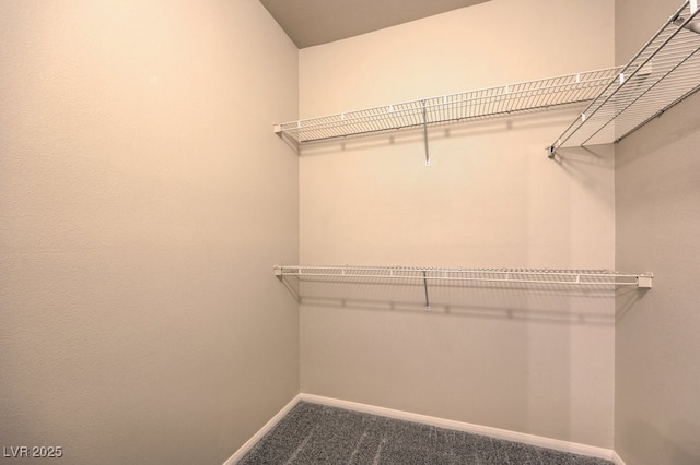 8737 Red Brook Dr Unit 204, Las Vegas, NV 89128 - walk in closet with carpet flooring