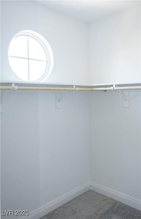 1703 Game Garden Rd, North Las Vegas, NV 89031 - walk in closet with carpet