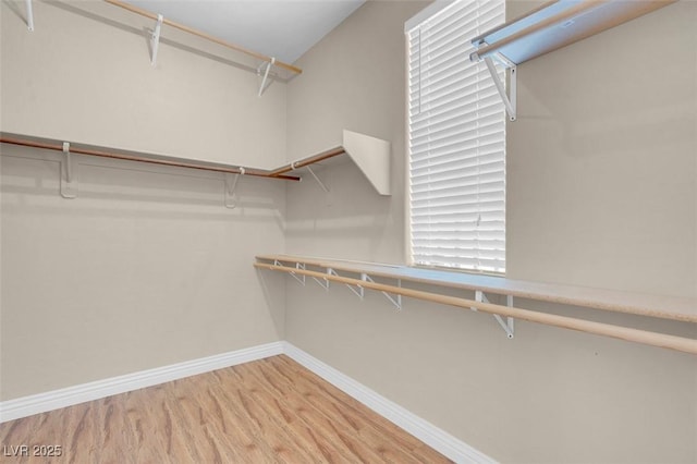9975 Sand Key St, Las Vegas, NV 89178 - spacious closet featuring light wood-style flooring