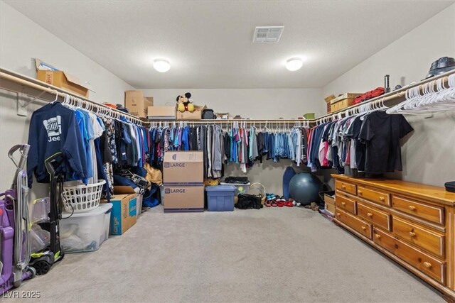 8925 Kenzie Cove St, Las Vegas, NV 89131 - spacious closet featuring carpet floors