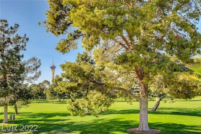 940 Vegas Valley Dr, Las Vegas, NV 89109 - view of home's community featuring a lawn and view of wooded area