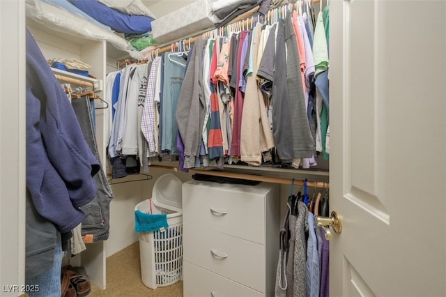1441 Palm Dr, Laughlin, NV 89029 - view of spacious closet