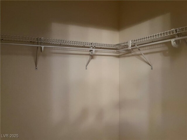 5049 Alfingo St, Las Vegas, NV 89135 - view of spacious closet