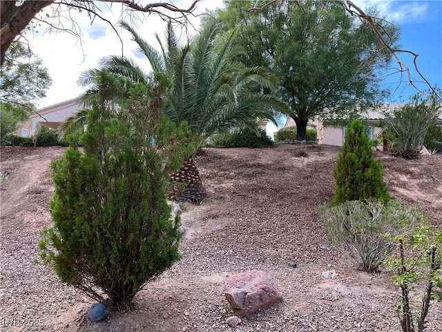 5049 Alfingo St, Las Vegas, NV 89135 - view of yard