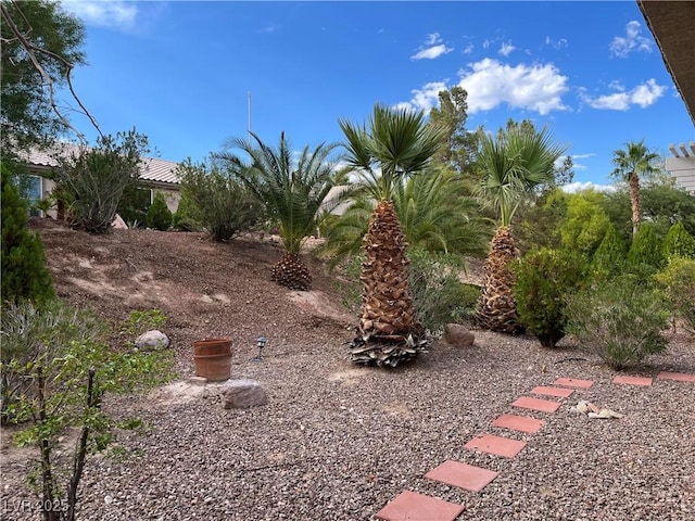 5049 Alfingo St, Las Vegas, NV 89135 - view of yard
