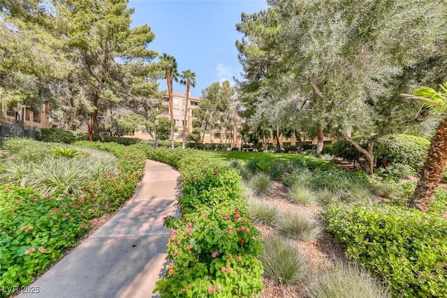 270 E Flamingo Rd Unit 107, Las Vegas, NV 89169 - photo 51