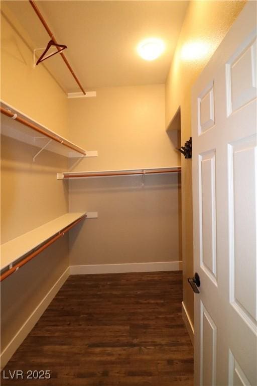 878 Samoy St, Las Vegas, NV 89110 - walk in closet with dark wood finished floors