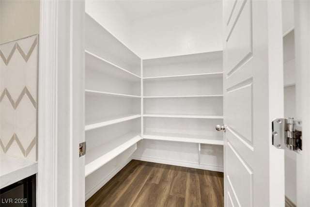 234 Polaris Ridge Ave, Henderson, NV 89011 - view of pantry