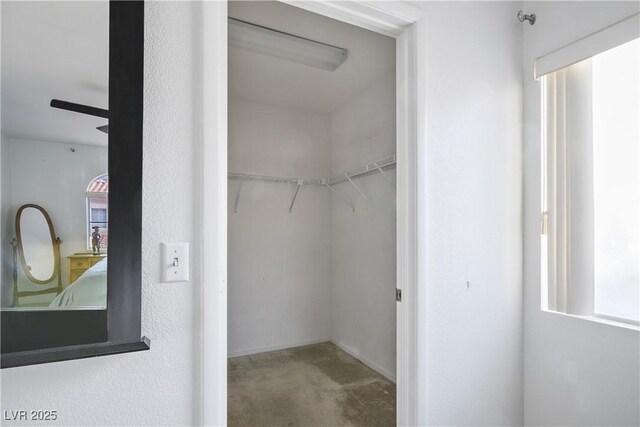 3331 Cheltenham St, Las Vegas, NV 89129 - view of walk in closet