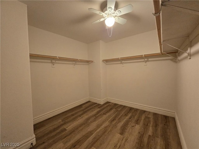 6638 Babys Tear Pl, Las Vegas, NV 89148 - spacious closet featuring wood finished floors and a ceiling fan