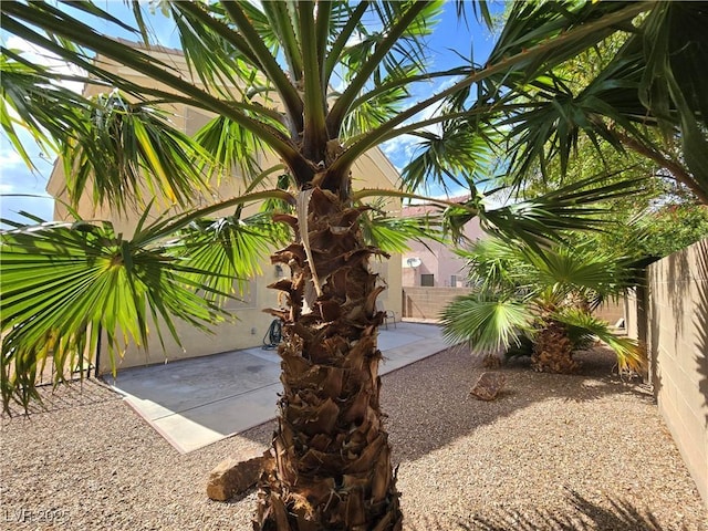 6638 Babys Tear Pl, Las Vegas, NV 89148 - view of yard