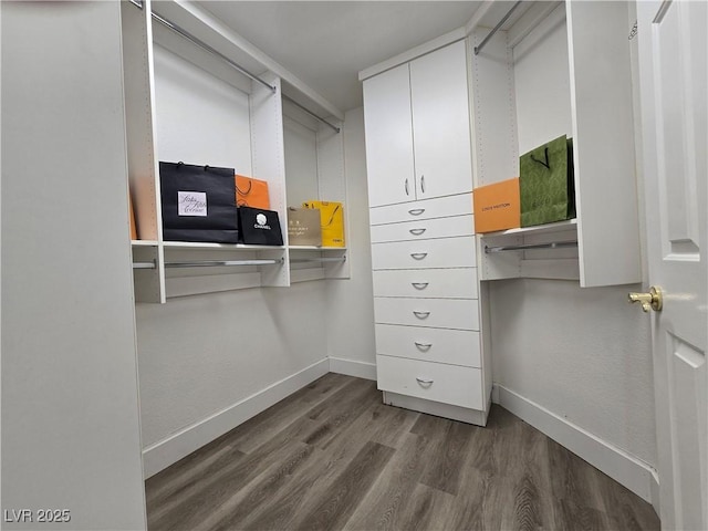 8545 Summer Vista Ave, Las Vegas, NV 89145 - walk in closet with wood finished floors