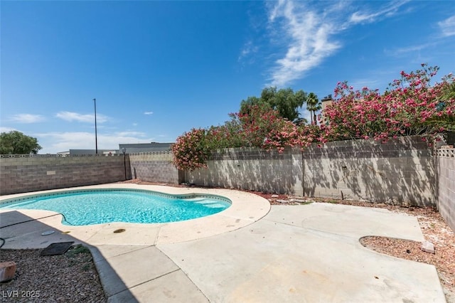 2116 Cameron St, Las Vegas, NV 89102 - view of swimming pool featuring a fenced backyard and a patio
