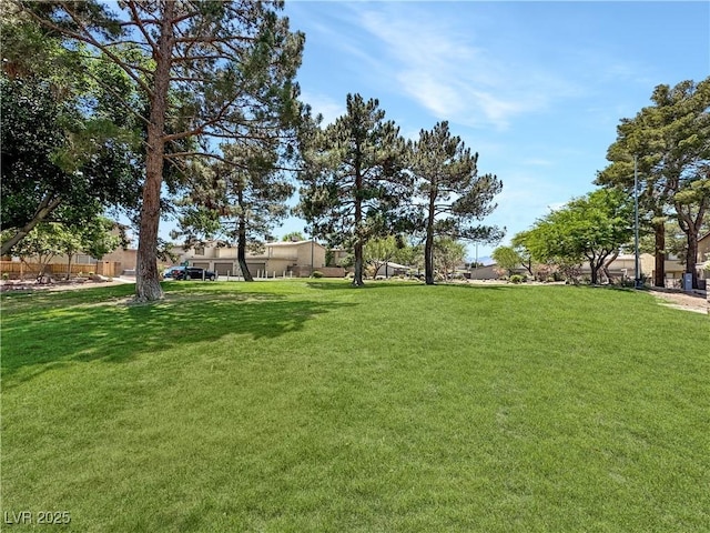2204 Short Pine Dr, Las Vegas, NV 89108 - view of green lawn