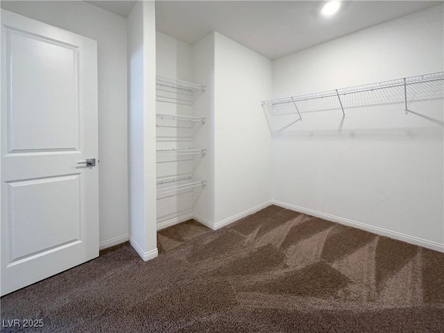 6918 Dandelion Park Ave, Las Vegas, NV 89113 - walk in closet featuring dark carpet