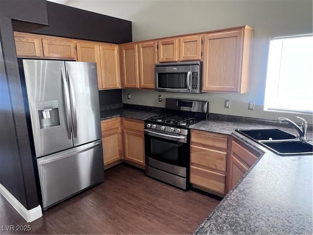 5217 Yellow Dawn Ct, Las Vegas, NV 89130 - kitchen with appliances with stainless steel finishes, a sink, dark wood-style flooring, and dark countertops