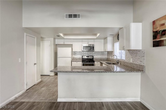 5132 Springland St, Las Vegas, NV 89146 - kitchen with appliances with stainless steel finishes, a sink, light stone countertops, baseboards, and a tray ceiling
