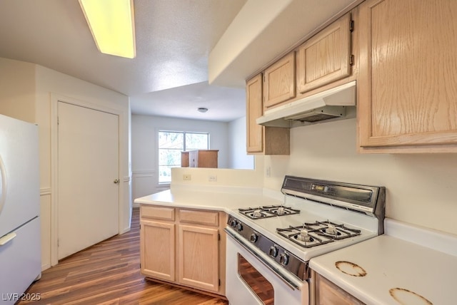 698 S Racetrack Rd Unit 1014, Henderson, NV 89015 - kitchen featuring white appliances, under cabinet range hood, light brown cabinetry, wood finished floors, and light countertops