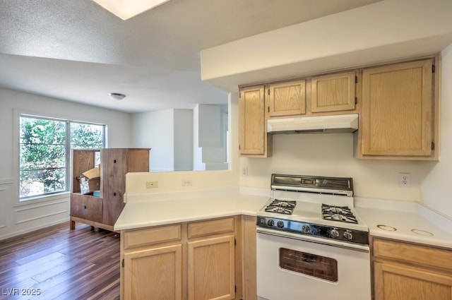 698 S Racetrack Rd Unit 1014, Henderson, NV 89015 - kitchen featuring white gas range, under cabinet range hood, dark wood-style flooring, light countertops, and a peninsula