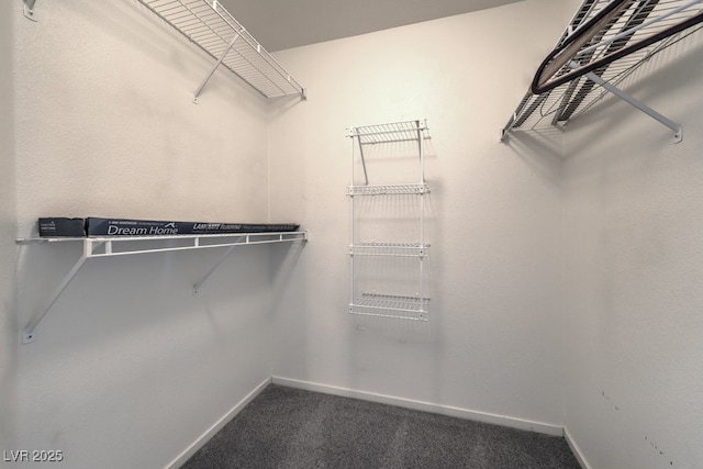698 S Racetrack Rd Unit 1014, Henderson, NV 89015 - walk in closet with dark colored carpet