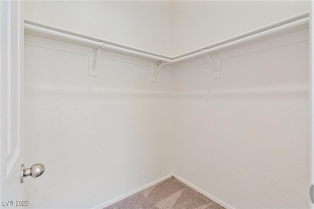 4566 Mansart Ct Unit 1104, North Las Vegas, NV 89031 - spacious closet featuring carpet flooring