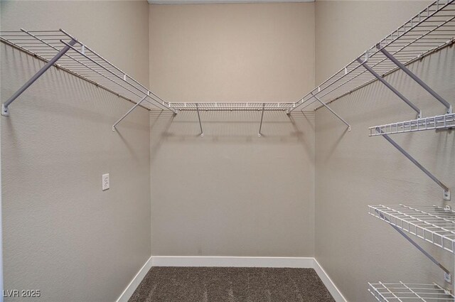 9303 Gilcrease Ave Unit 2217, Las Vegas, NV 89149 - walk in closet featuring carpet