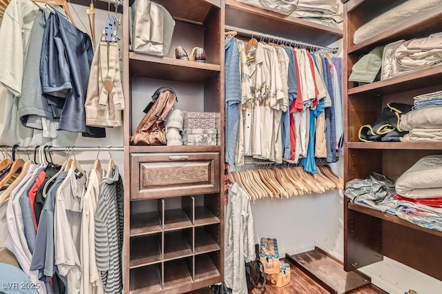 8777 Shady Peak Way, Las Vegas, NV 89123 - spacious closet with wood finished floors