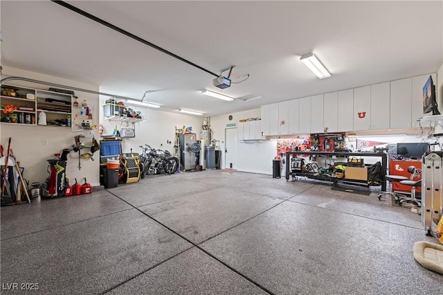 1309 Vista Del Monte Dr, Mesquite, NV 89027 - garage featuring a garage door opener and a workshop area