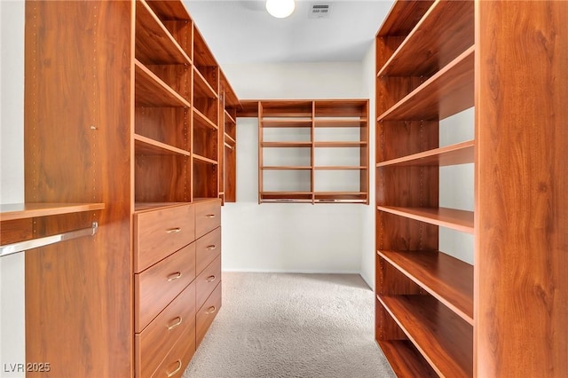1155 Phillip Island St, Henderson, NV 89052 - walk in closet featuring carpet