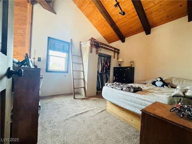 250 E Madison Ave, Ely, NV 89301 - bedroom with wood ceiling and carpet