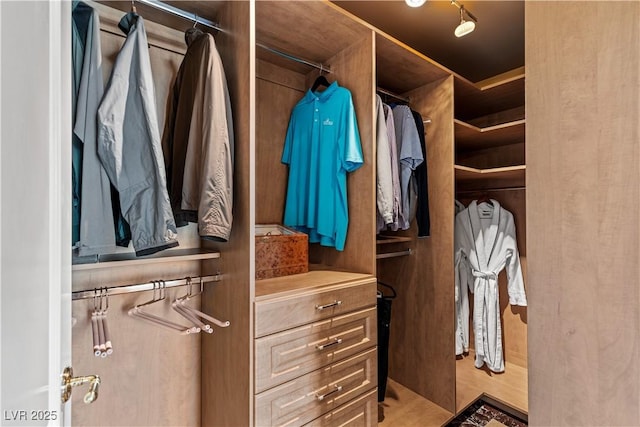 1 Hughes Center Dr Unit 308, Las Vegas, NV 89169 - view of walk in closet