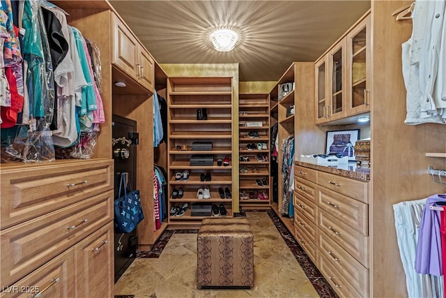 1 Hughes Center Dr Unit 308, Las Vegas, NV 89169 - spacious closet with inlaid floor details