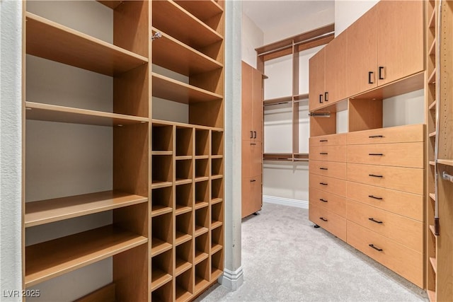 5576 Buena Martina Way, Las Vegas, NV 89141 - spacious closet featuring light colored carpet