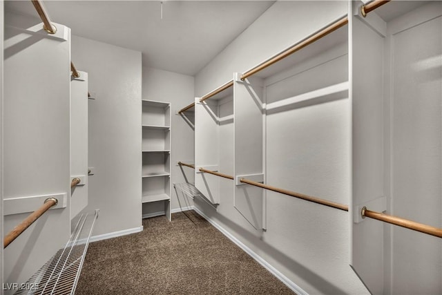 2449 Daks Loden Ct, Henderson, NV 89044 - walk in closet featuring carpet